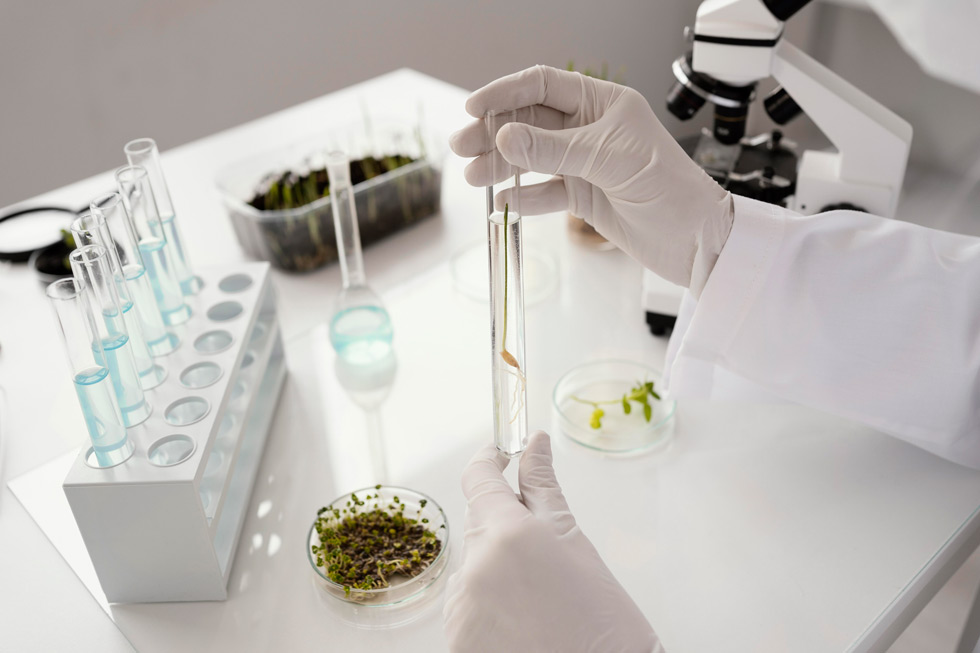 laboratorio-cbd